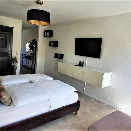 Deluxe-apartment-flamingo-in-paradise Apartment Freiburg im Breisgau